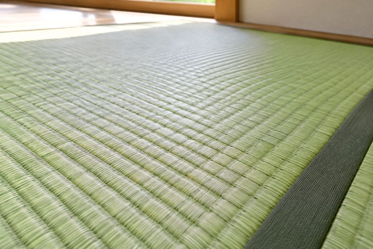 張り替えたばかりの青々とした畳（イメージ）